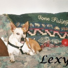 Lexy King .2004-2015